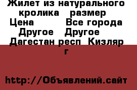 Жилет из натурального кролика,44размер › Цена ­ 500 - Все города Другое » Другое   . Дагестан респ.,Кизляр г.